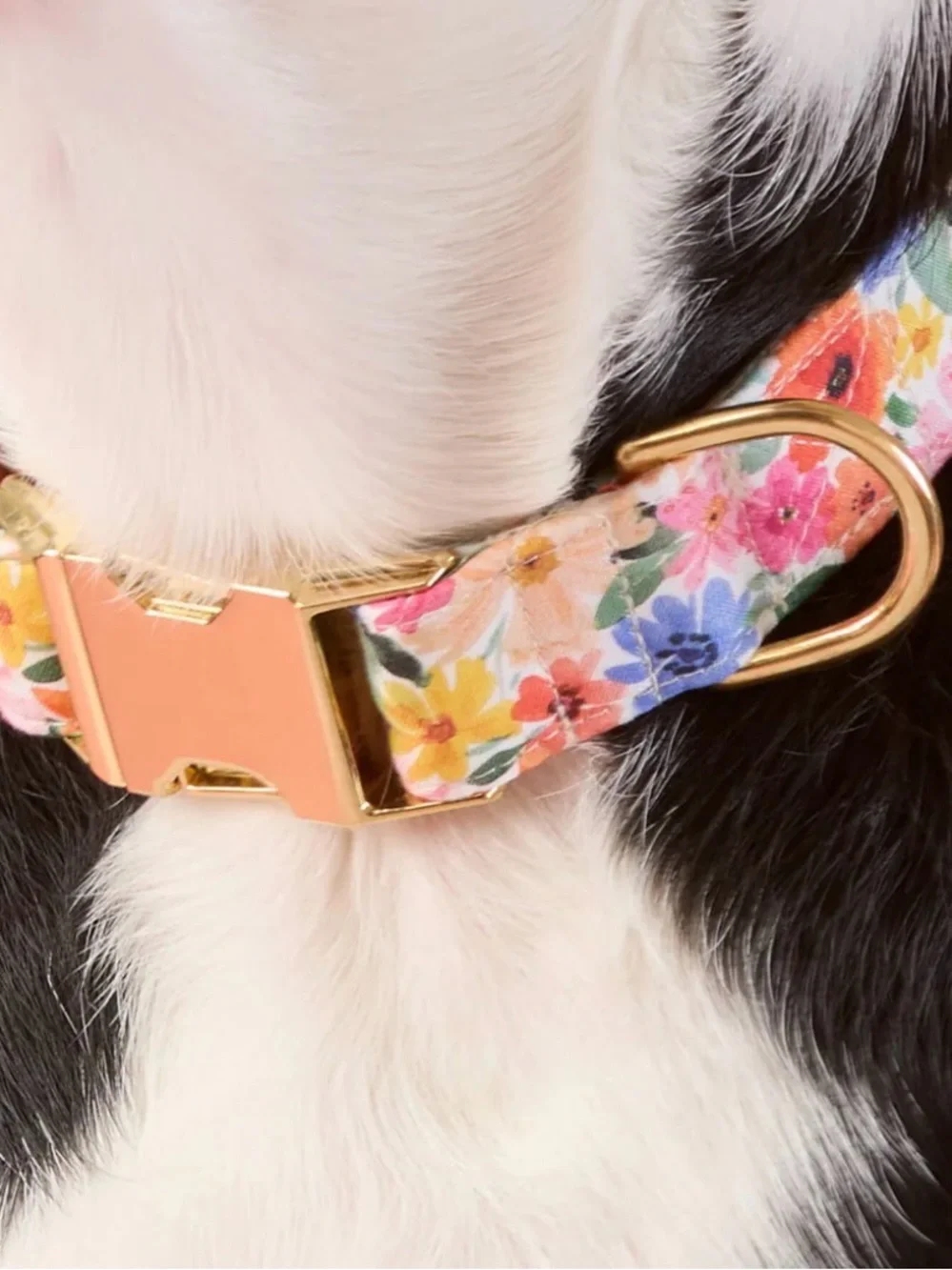 The Foggy Dog Floral Gold-Buckle Adjustable Dog Collar SizeL